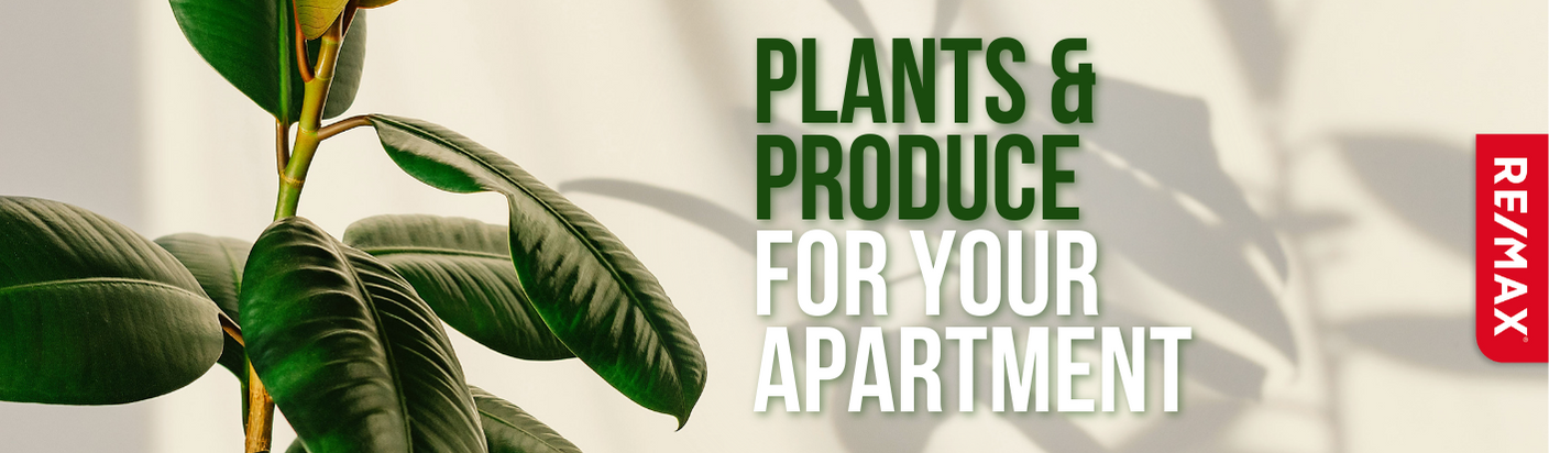 PLANTS AND PRODUCE FOR YOUR APARTMENT